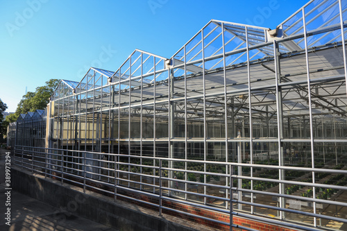 Wallpaper Mural Exterior view of Green house and plant research. Torontodigital.ca