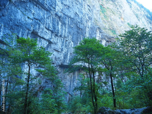 Mountain gorge in the mountains of Abkhazia. 