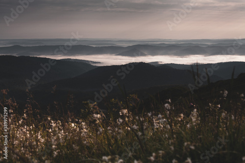 Poranne mgły w górskich dolinach, Bieszczady, Polska