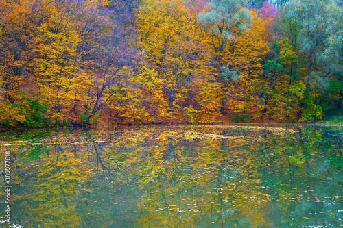 olorful autumn trees reflection water