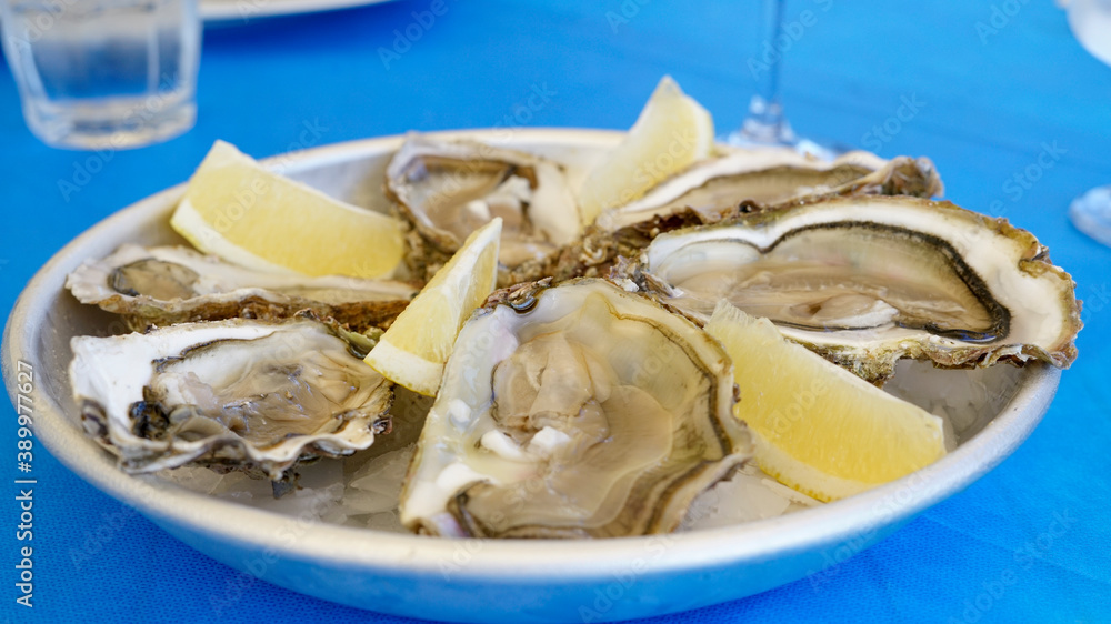 raw oysters with lemon on the plate raw oysters with lemon on the plate