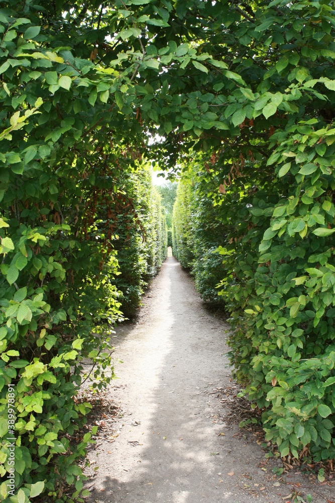 Chemin dans un jardin à la française