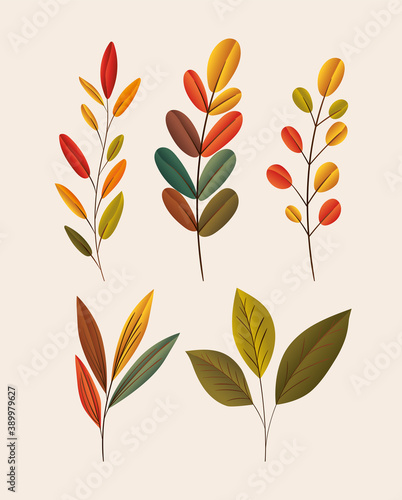 autumn leaves set of icons vector design