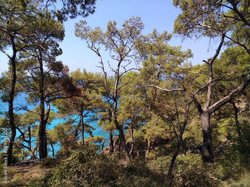 landscape photography travel nature sea landscape photography travel nature sea