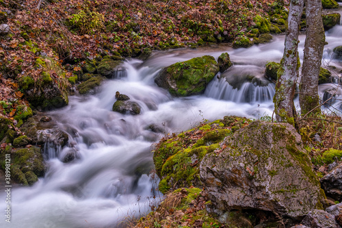 Herbst im Ges  use