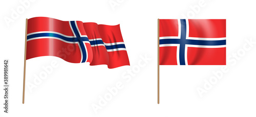 colorful naturalistic waving Norway flag. Vector Illustration