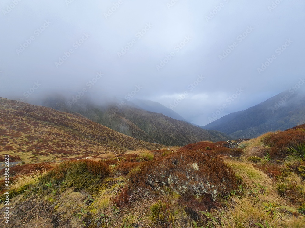 fog in the mountains
New Zealand 
Kepler