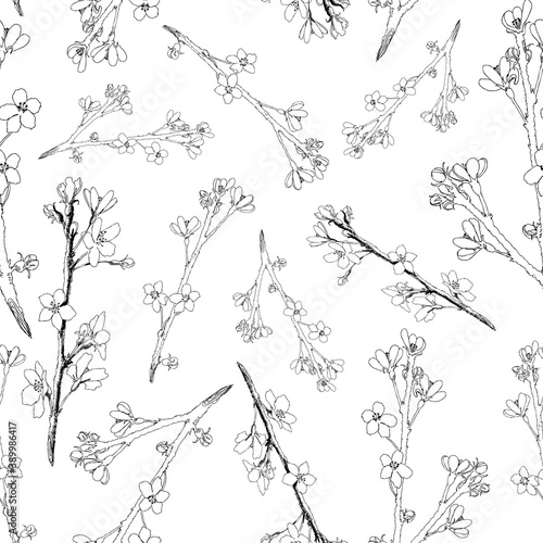Sakura Blossom - Japanese Cherry Tree Seamless Pattern. Drawn Blooming Branch. Vector