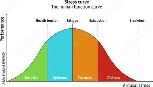 Different stages of the stress curve ranging from underload to burn-out photo