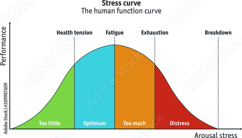 Different stages of the stress curve ranging from underload to burn-out