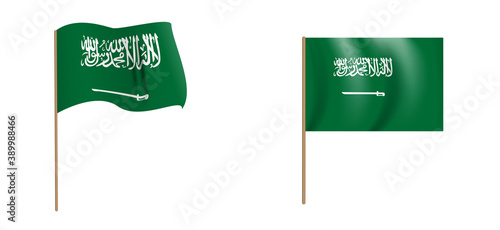 colorful naturalistic waving Saudi Arabia flag. Vector Illustration