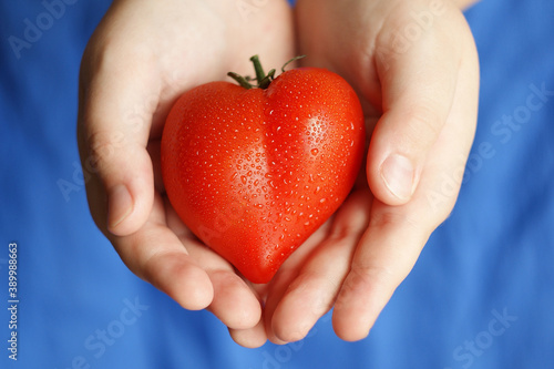 human heart sketch. heart-shaped tomato in the hands of a child