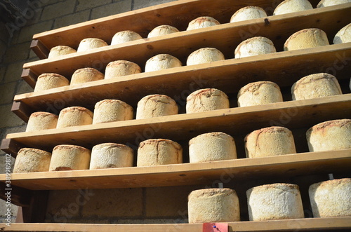 Formaggio Castelmagno Stagionatura photo