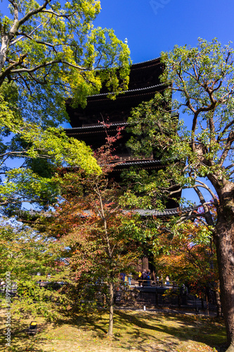 To-ji temple in Kyoto in autumn (Japan)