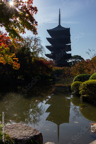 To-ji temple in Kyoto in autumn  Japan 