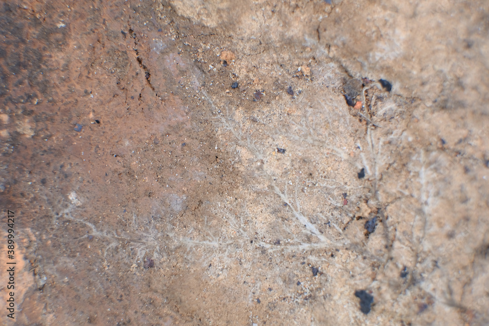 Rough stone wallpaper. fine texture of sand and stones. Rough stone wallpaper. fine texture of sand and stones.