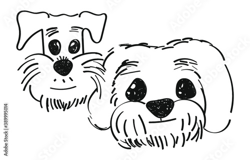 Two dog faces