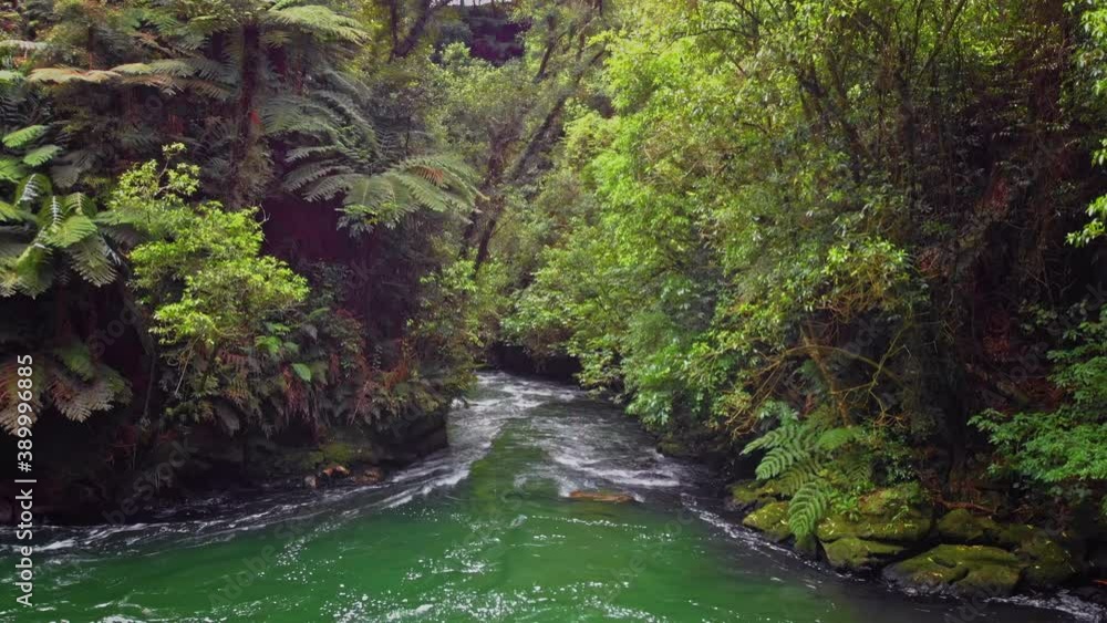 Beautiful bush setting with waterfall, Kaituna river, Rotorua Beautiful bush setting with waterfall, Kaituna river, Rotorua