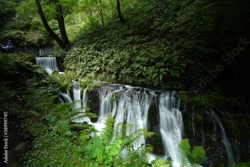 Fototapeta Naklejka Na Ścianę i Meble -  白糸の滝
