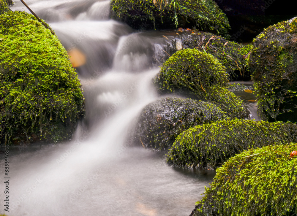 Composite of multiple long-exposure images of the stream of a brook with rocks and logs covered in moss, captured at the hillside of the Iguaque mountain in the central Andes of Colombia.