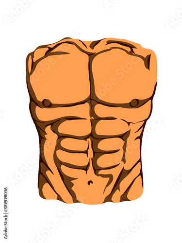 Bauch Muskeln Sixpack 