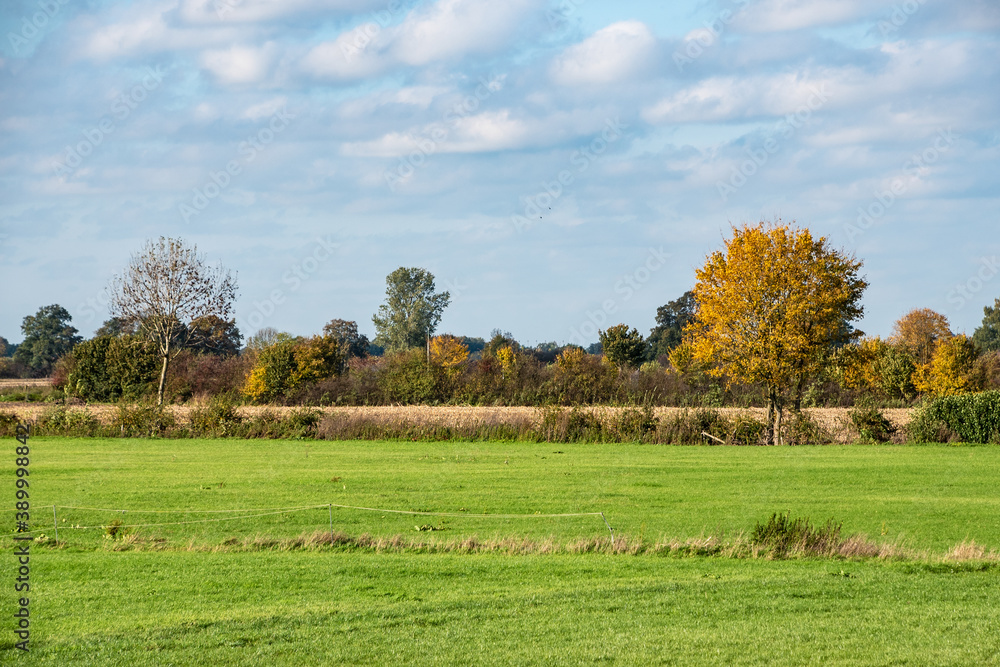 Dutch autumn landscape with beautiful colored trees Dutch autumn landscape with beautiful colored trees