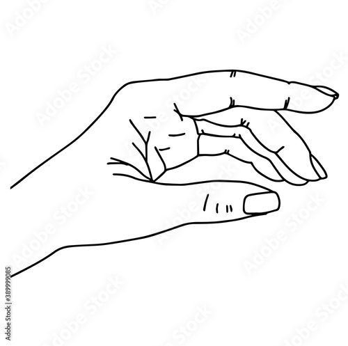 Left hands. realistic gestures hand shape. black ley stroke logo graphic art design isolated on white.Hand drawn linear sketch. Black silhouette on white background.