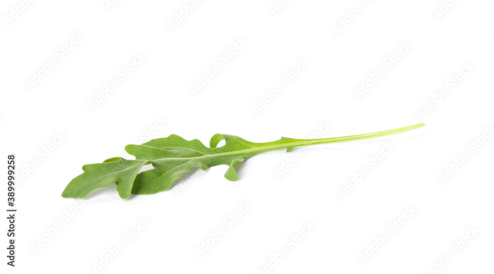Leaf of fresh arugula isolated on white Leaf of fresh arugula isolated on white