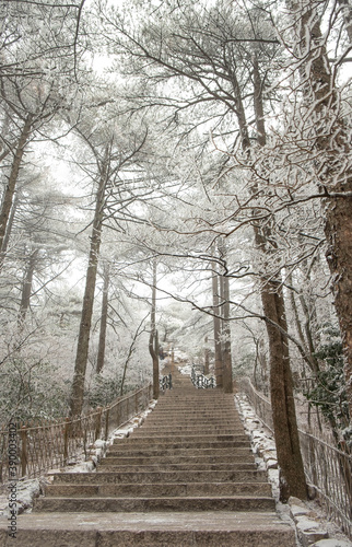The stairs walkway is cover of snow at the Huangshan mountain or Yellow mountain, Anhui province in east China. © siewwy84