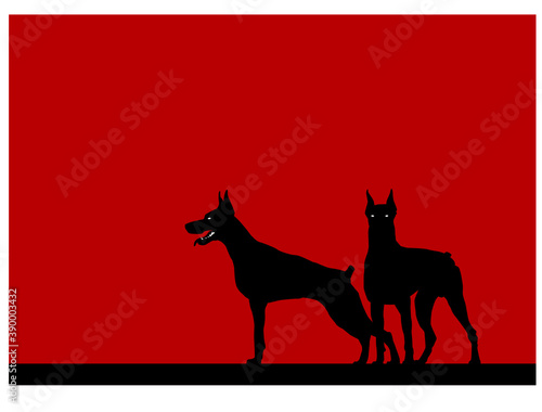 Watchdogs. Stylized image of two alert Dobermans. Vector image for illustrations.