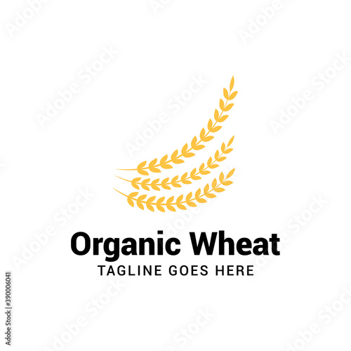 organic wheat logo icon vector