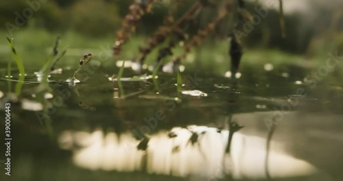 mi - air - underwater on the grass