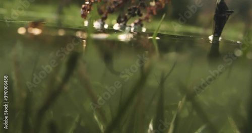 mi- air - water on the grass