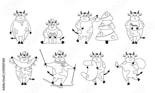 Christmas bull outline set. New Year symbol, horoscope sign. Cartoon cow, Buffalo, calf. Collection linear black farm character witn gift hat, garland. Happy New year, merry Christmas. Animal vector