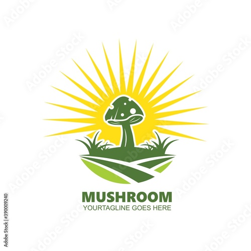 mushroom farm  vector illustration icon design