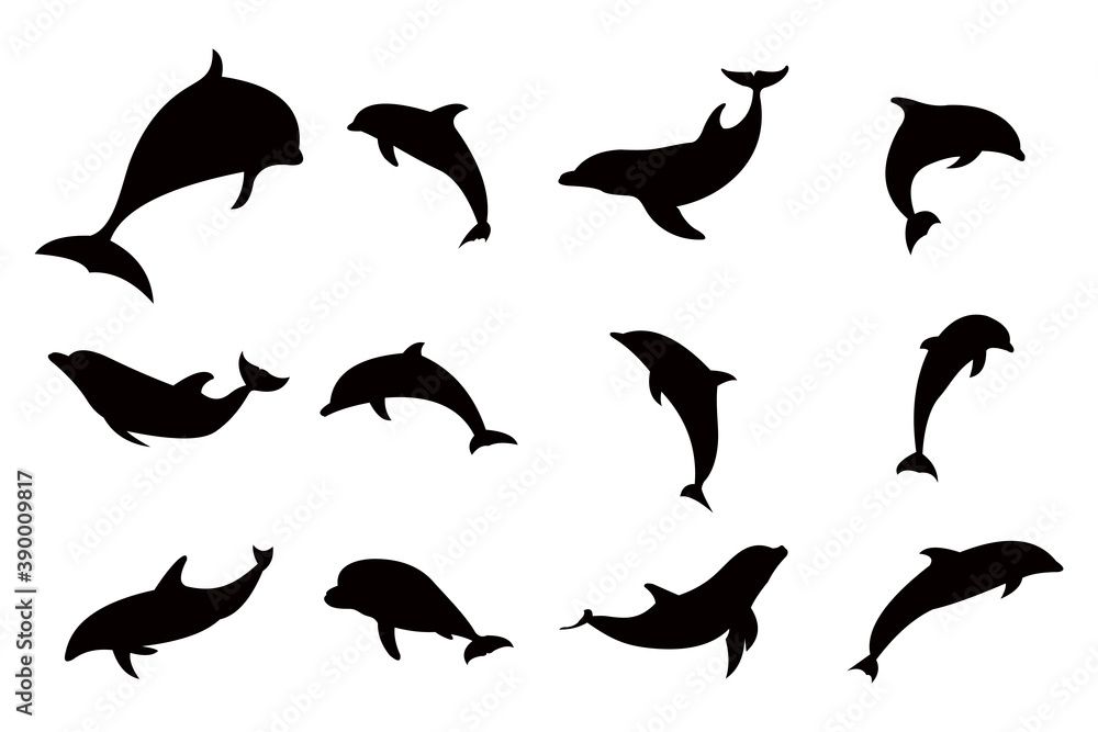 Obraz premium dolphin silhouette icon vector set for logo