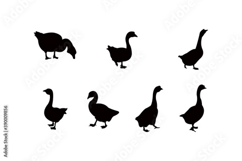 goose silhouette icon vector set for logo