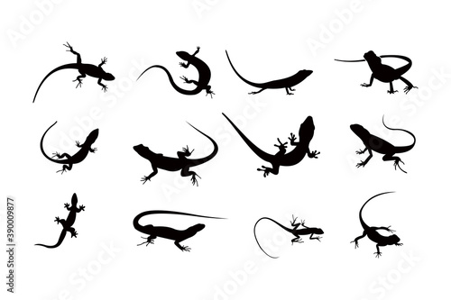 lizard silhouette icon vector set for logo