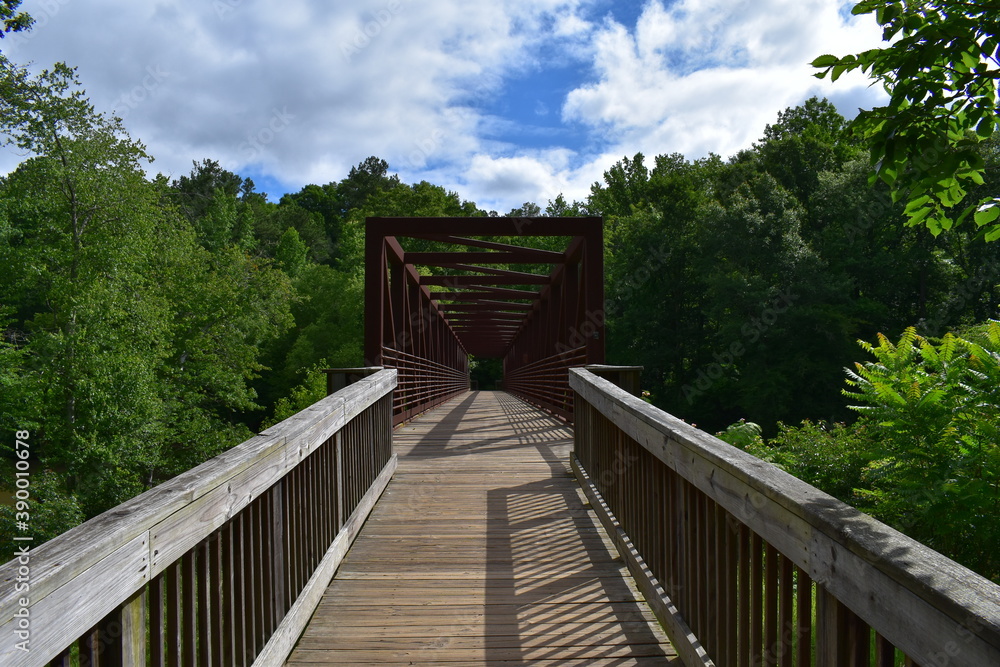 Obraz premium wooden bridge in the forest