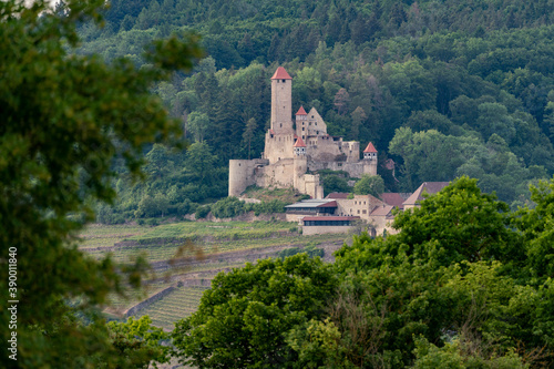 View of Hornberg Castle in the Neckar Valley, Germany