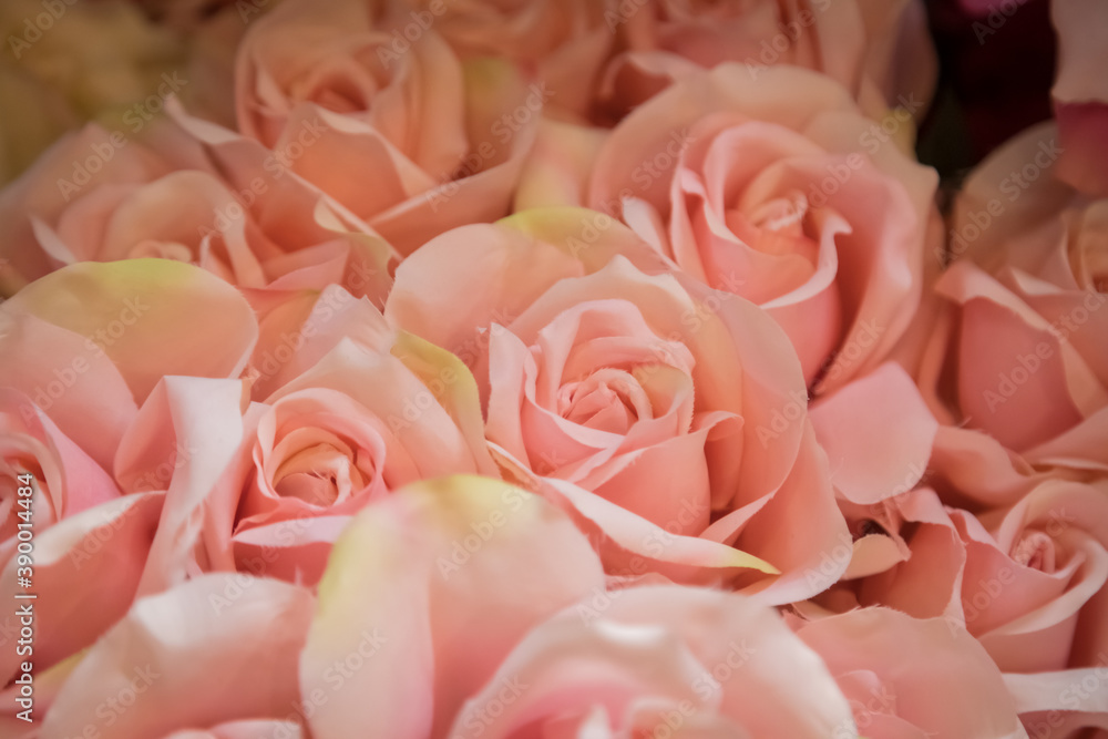 Beautiful plastic pink rose background Beautiful plastic pink rose background