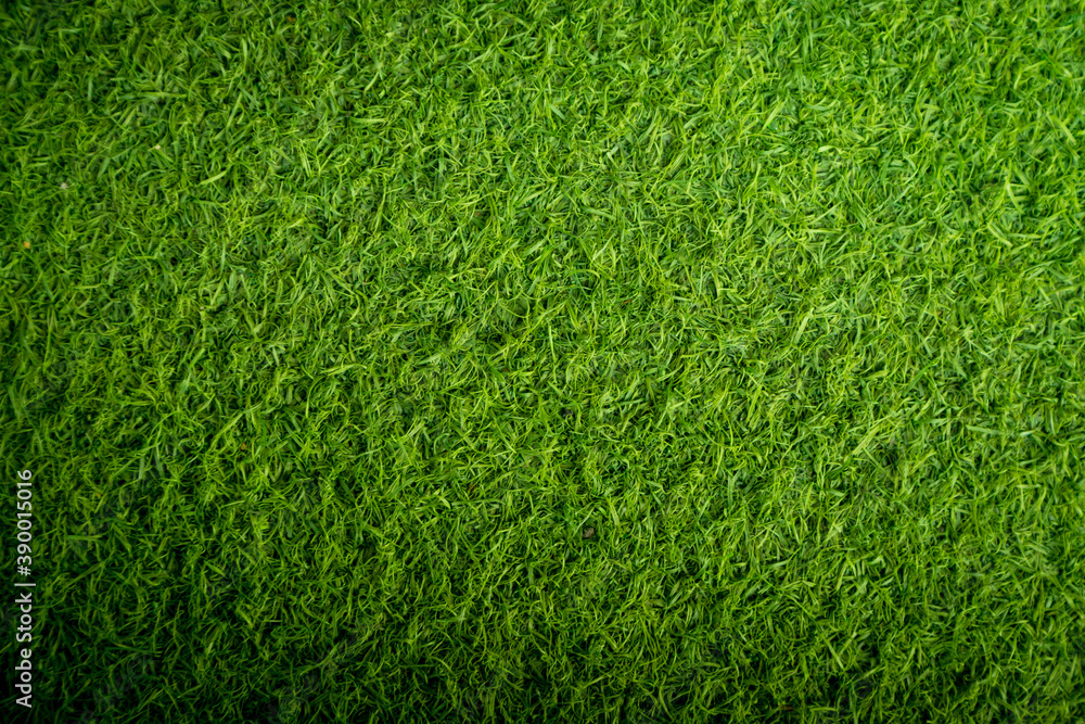 Obraz premium Green artificial grass texture for background