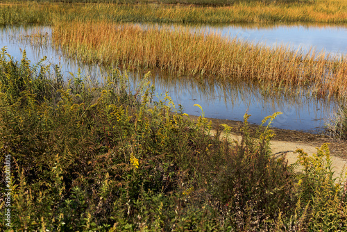 landscapes, Northport Harbor, Sunken Meadow Park, Long Island photo