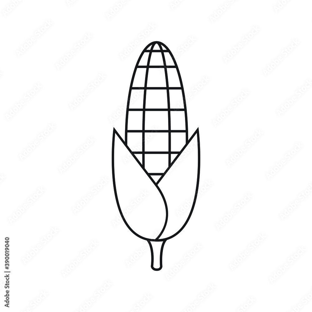 Corn icon design isolated on white background Corn icon design isolated on white background