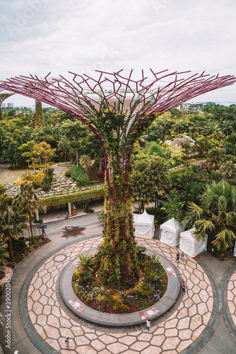 Beautiful vertical shot of the famous Gardens by the Bay in Singapore on a white sky background