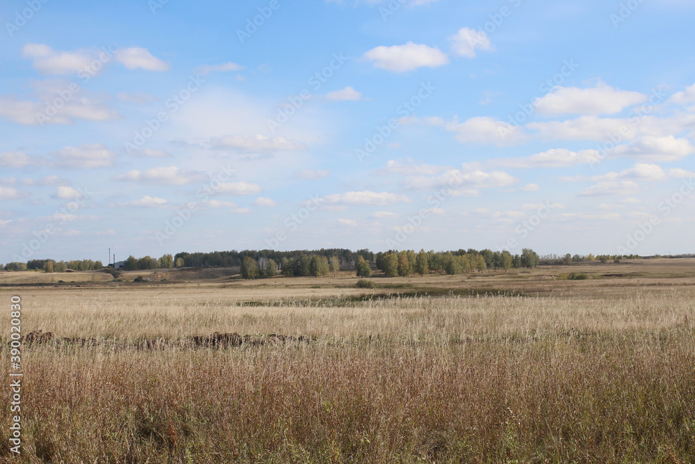 Siberian plain field with grass spacious landscape