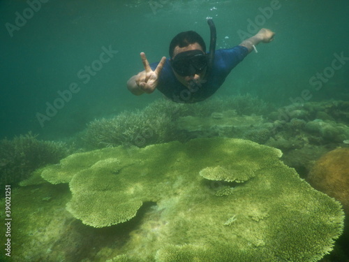 person snorkeling in the sea 