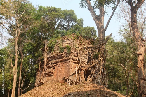 Cambodia. Temple Zone of Sambor Prei Kuk, Archaeological Site of Ancient Ishanapura. Before the Angkor period. Kampong Thom city. Kampong Thom province.  photo