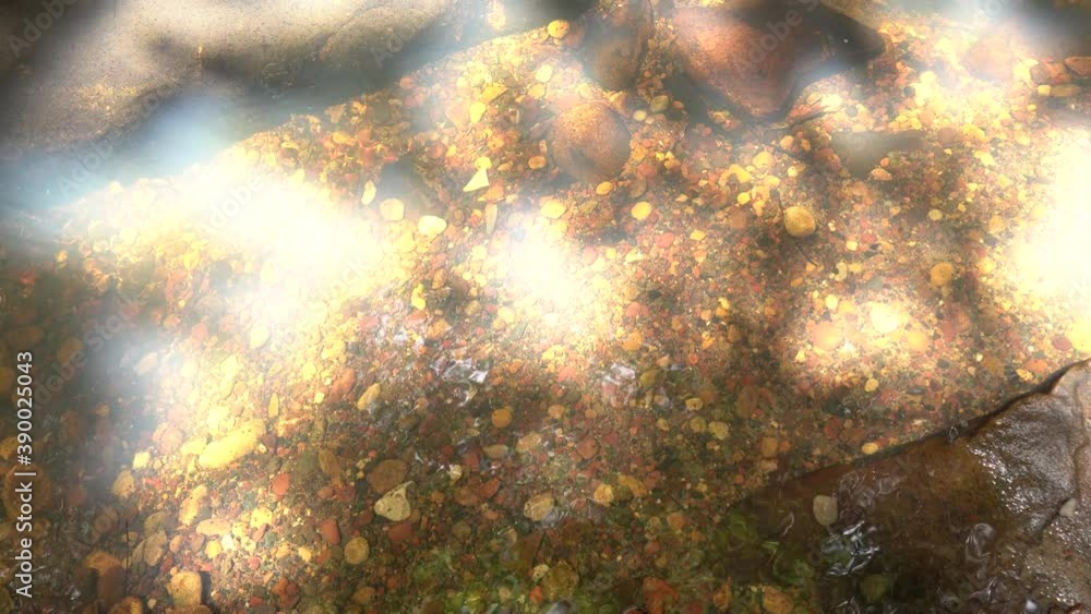 Sunlit transparent creek water flows along with bright stones on the botton. Sunlit transparent creek water flows along with bright stones on the botton.