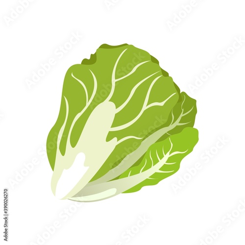 Vector graphic illustration of mustard greens